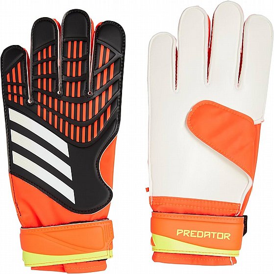 ����� ���� �����  PREDATOR GL