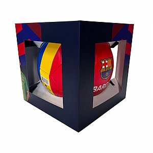 ���� ������ ������� ������ ������