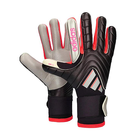 PRED GL PRO IS7584