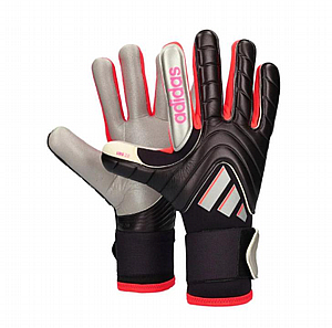 PRED GL PRO IS7584