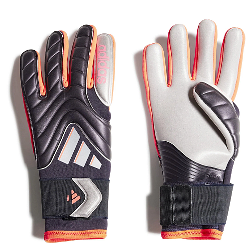 PRED GL PRO IS7584