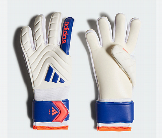 ����� ���� ����� COPA GL LGE J 